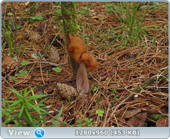 0_eb016_90d1d45b_orig.png