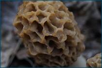 0_cc972_8b199a22_orig.jpg
