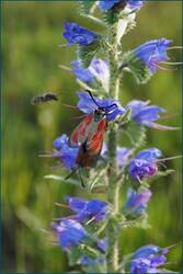 0_ceac6_93463da2_orig.jpg