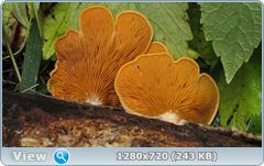 0_eb265_6965f1da_orig.png