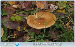 0_f27fa_cd73cba7_orig.png