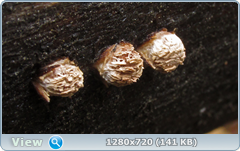 0_f6e2e_93208db5_orig.png