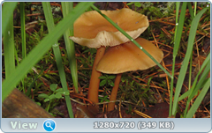 0_e6a06_69bf8d3c_orig.png