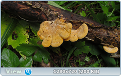 0_eb25f_98845d2b_orig.png