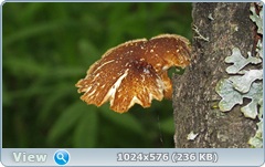 0_e782d_280bae33_orig.png