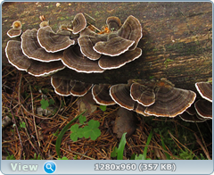 0_eb032_a7290429_orig.png