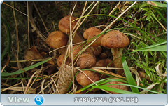 0_ef6bd_f1e497d3_orig.png