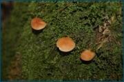 0_d09de_18e4851b_orig.jpg