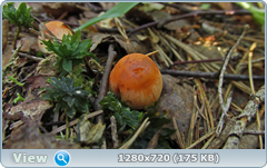 0_e9367_67199fd3_orig.png