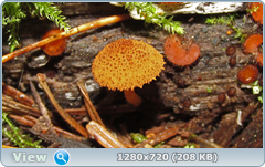 0_e9373_d39214b2_orig.png