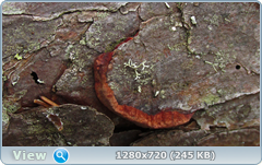 0_1027a7_66cc240c_orig.png