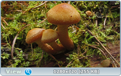 0_1073f5_d53db2e9_orig.png