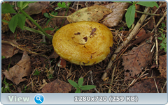 0_110837_3e610215_orig.png
