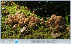 0_1122b6_79c45730_orig.png