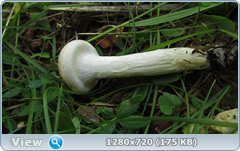 0_112132_76507f64_orig.png