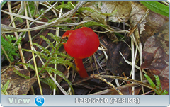 0_11216d_73cca6ce_orig.png
