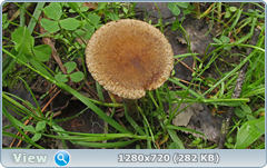 0_113559_c5ad61fd_orig.png