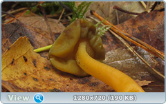 0_1150d2_7ec14838_orig.png
