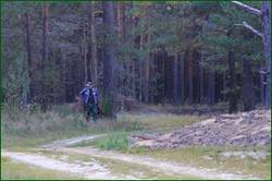 0_1300b3_b7a2047f_orig.jpg