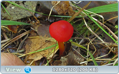 0_11216f_21b6353b_orig.png