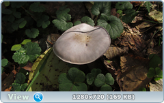 0_112ab7_8c598a91_orig.png