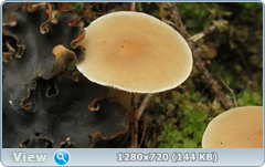 0_1073b2_e8b9d241_orig.png
