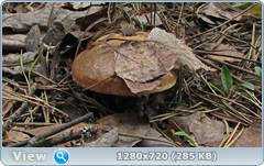 0_1073df_82dd1432_orig.png