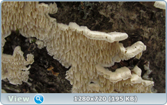 0_1162ac_29735b57_orig.png