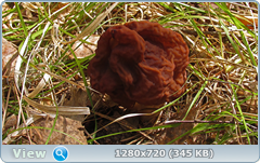 0_104ca9_21e375ef_orig.png