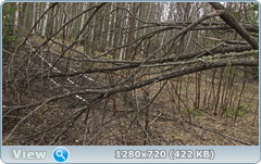 0_105331_31f01c7d_orig.png