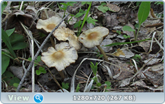 0_10648f_f119eea5_orig.png