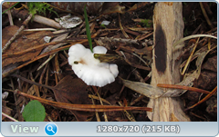 0_112d0f_d44d918c_orig.png