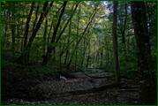 0_ed642_ba95838f_orig.jpg