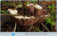 0_10de3f_21a867b9_orig.png