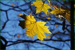 0_130d20_1c97e62_orig.jpg
