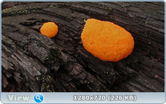 0_10930f_4a8ef2b5_orig.png