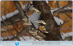 0_120959_bf9be5c9_orig.png