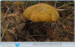 0_ef372_594d7dfc_orig.png