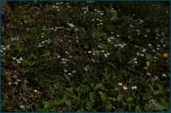 0_ccff7_3be9253d_orig.jpg
