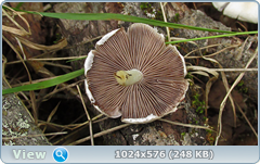 0_e7814_bdc27989_orig.png