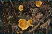 0_d097e_7bff49c1_orig.jpg
