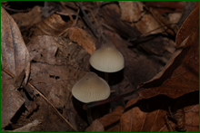 0_d9be0_4258c0db_orig.png