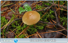 0_e6a04_81a7cb6f_orig.png