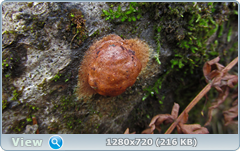 0_f3846_841175a8_orig.png