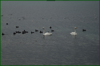 0_dde71_49d72e11_orig.png