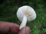 0_6d361_ee479935_S.jpg