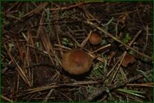 0_ea2f6_6f7744bb_orig.jpg