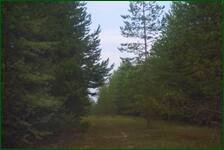 0_ea2fa_355f48ba_orig.jpg