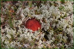 0_129202_7f13516c_orig.jpg