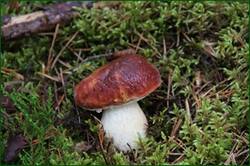 0_12920e_6630ea8c_orig.jpg